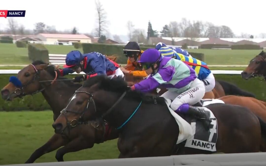 DIE 13 KEINE GLÜCKSZAHL