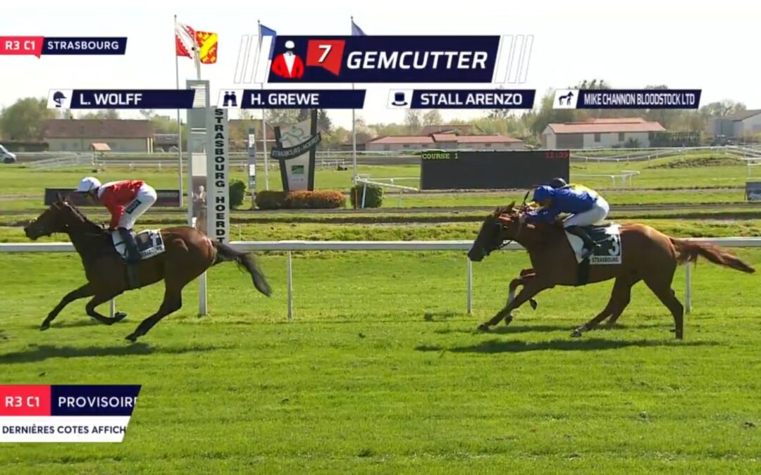 GEMCUTTER SIEGT LEICHT