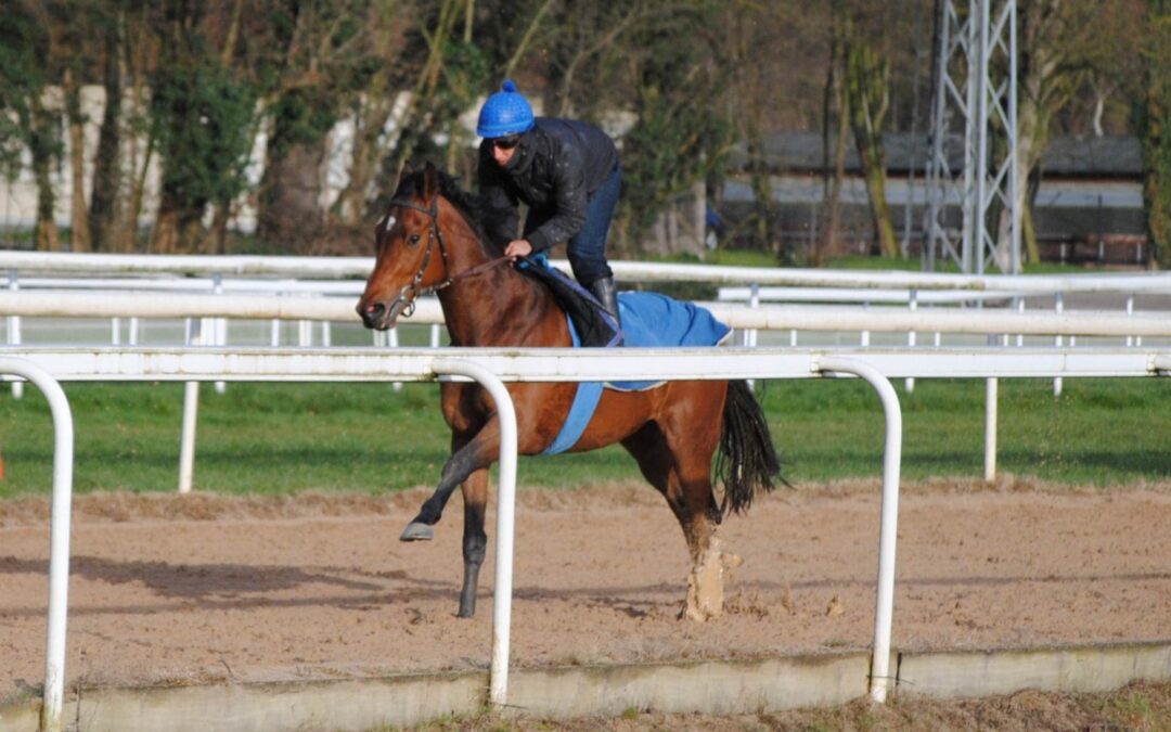 DIE JAGD GEHT WEITER