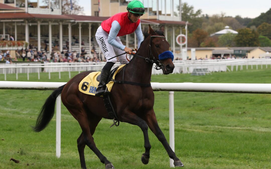 SAISONDEBUT IN KÖLN