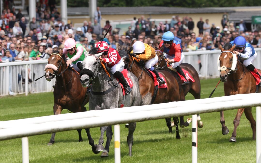 EHRENPLATZ KNAPP VERPASST