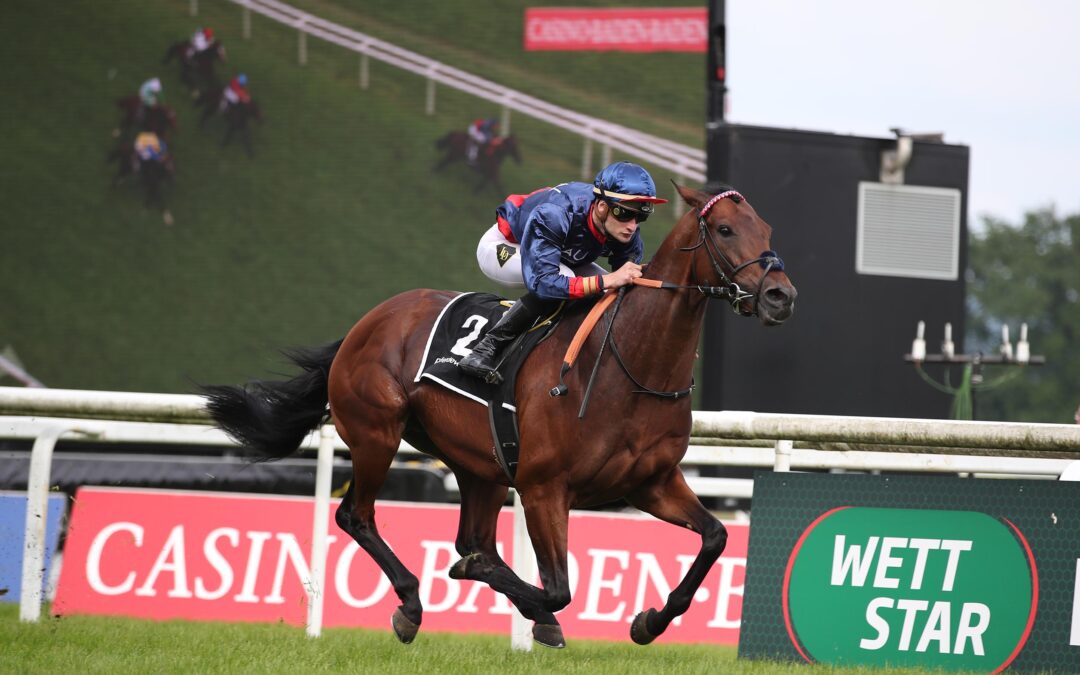 ONLY THE BRAVE WIEDER TOP