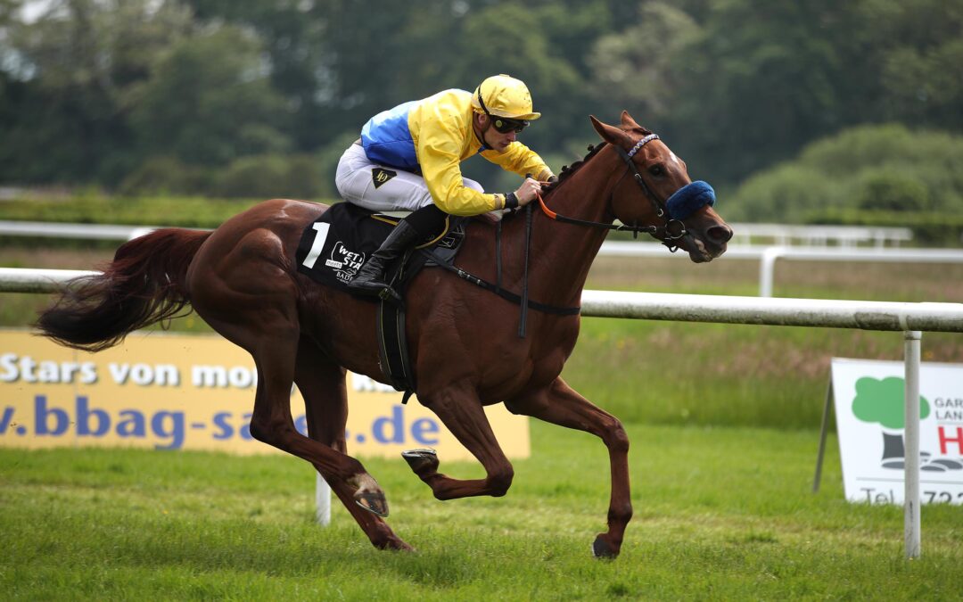 WE LOVE HARZBURG UND WIE