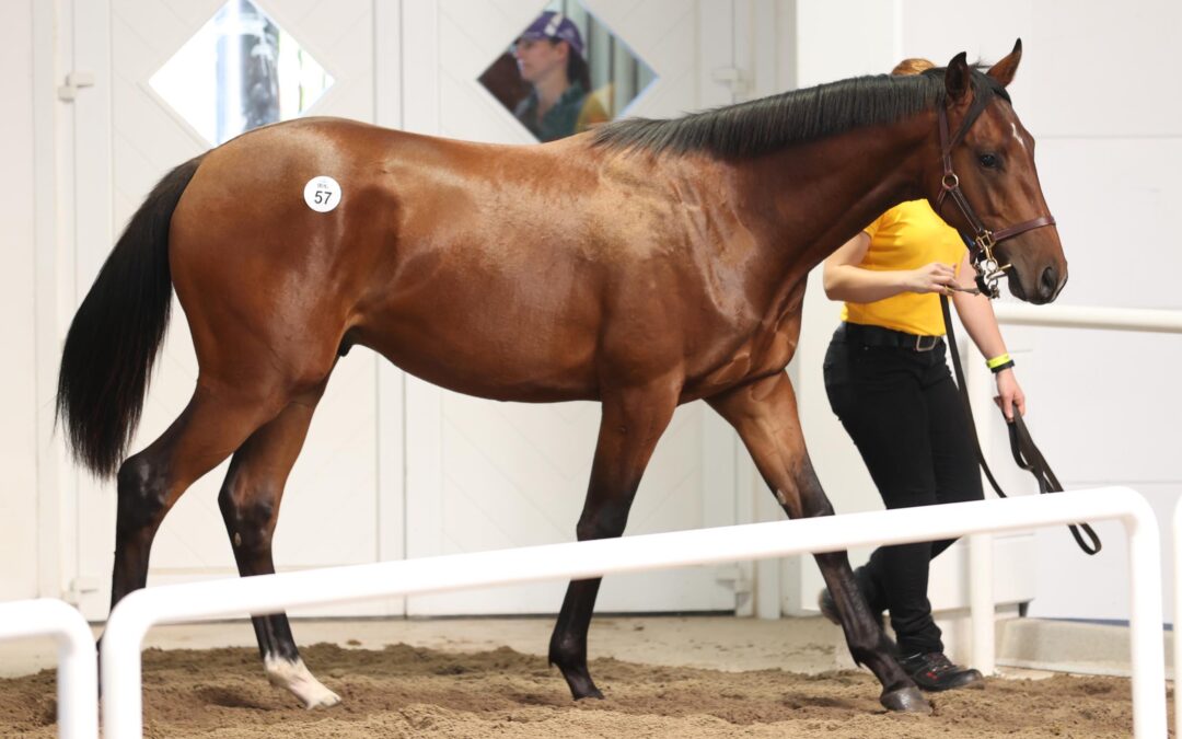 CHANCE IN WISSEMBOURG