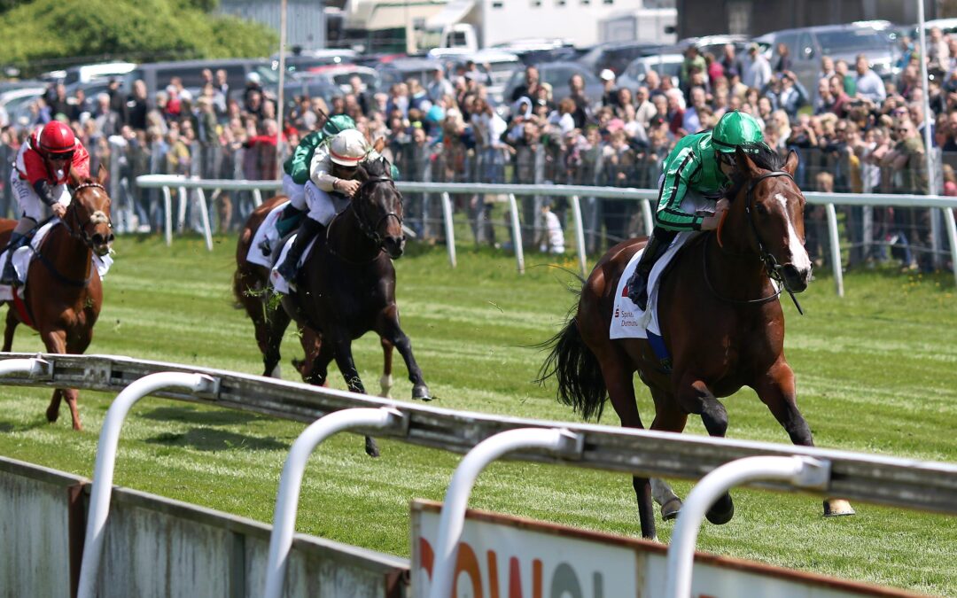 ORDENTLICHER EINSTAND