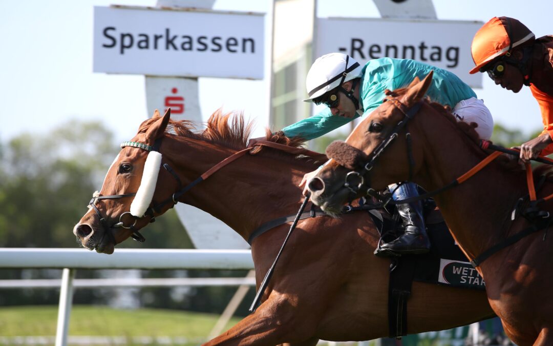 WIEDER EINE ZU STARK