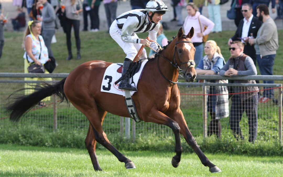 GUTE AUSSICHTEN IN ANGERS