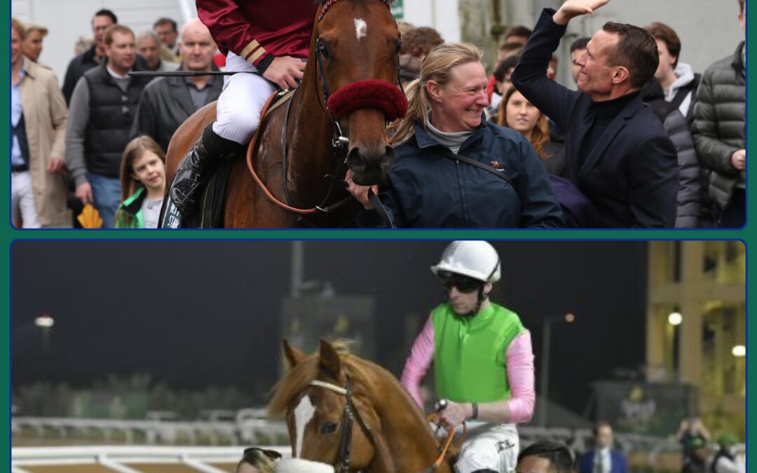 DOPPELSPITZE FÜR ARC