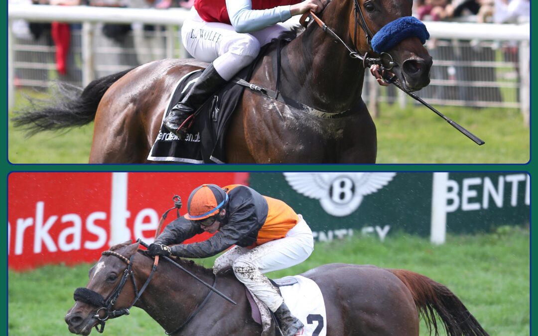 DAS GROSSE TRIAL DOPPEL