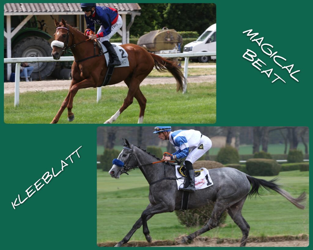 HOPPEGARTEN DUO