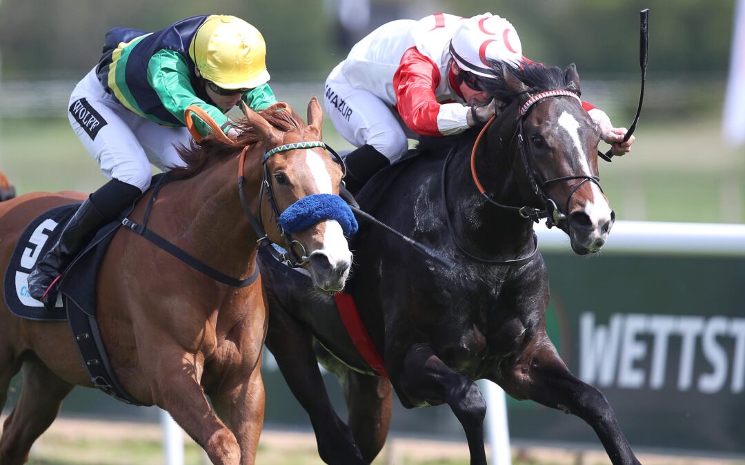 MUSKOKA KNAPP UNTERLEGEN