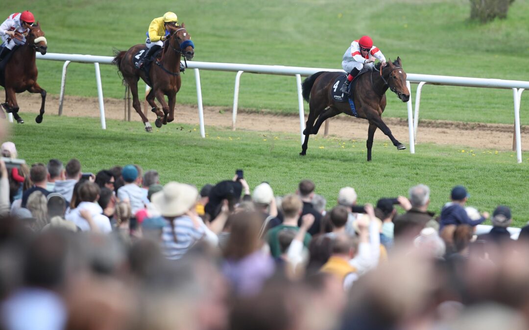 ALS FAVORITIN DIESMAL VIERTE