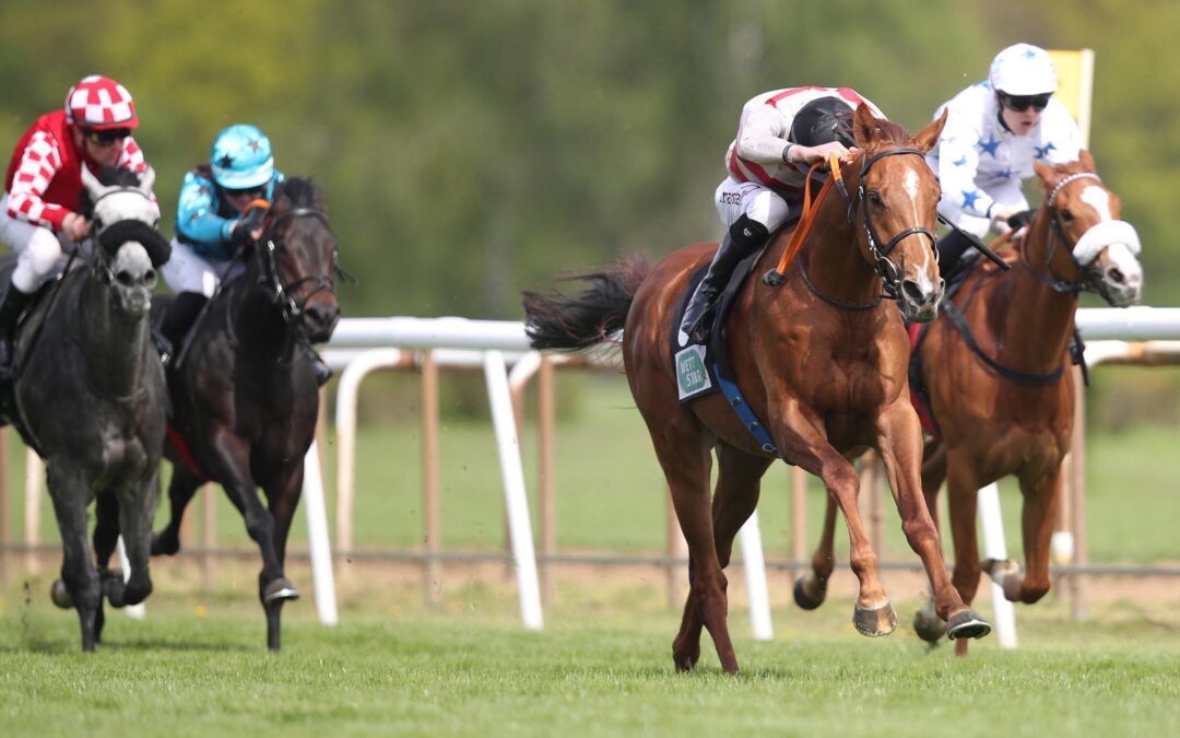 LADY M. WIEDER PLACIERT