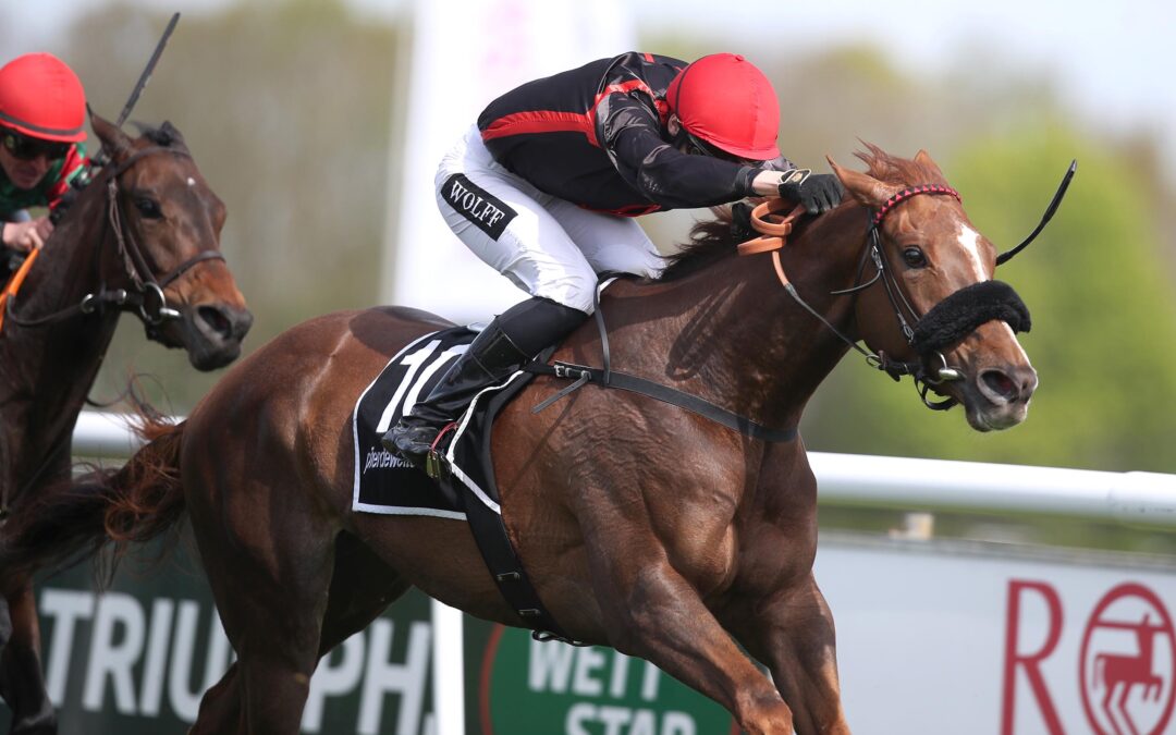 VALPOLICELLA – 500. TREFFER