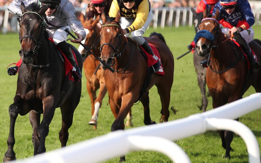 MIT PECH AM BLACKTYPE VORBEI