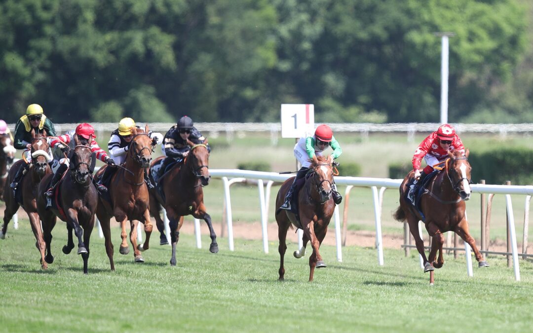 WEITER AUF SIEG WARTEN