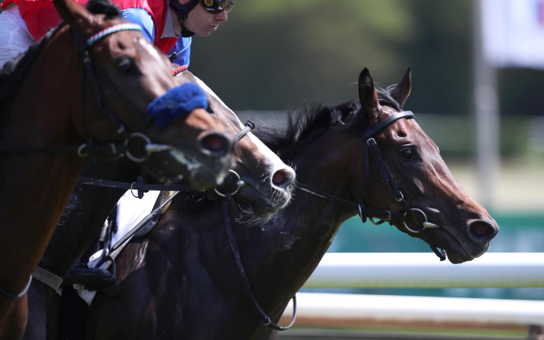 STOP KOSTET DEBUTSIEG