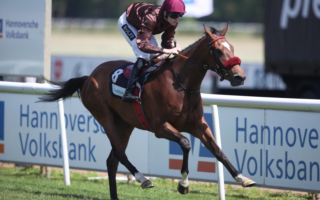 PRINCESS ZELDA ÜBERLEGEN