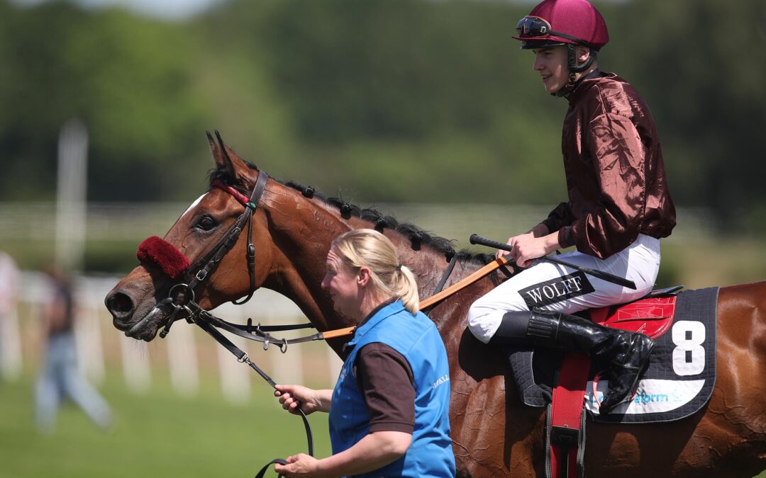 DAS SAGT DER SIEGREITER