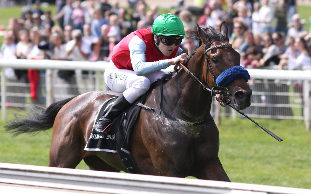 LAGUNA BEACH GLEICH TOP