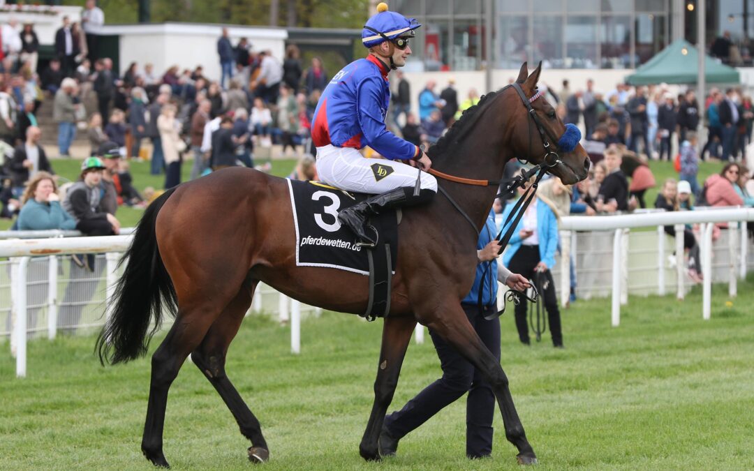 ASSISTENT OHNE BEFUND