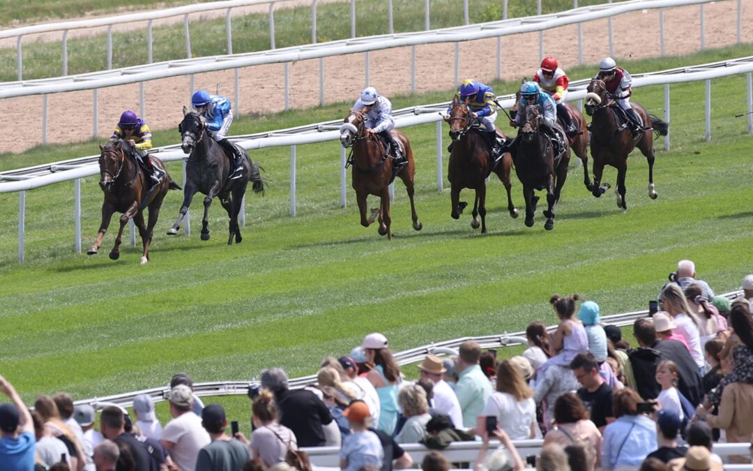 LADY MATILDA IM GELD