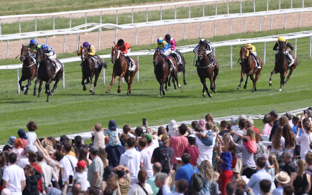 SEE PARIS CHANCENLOS