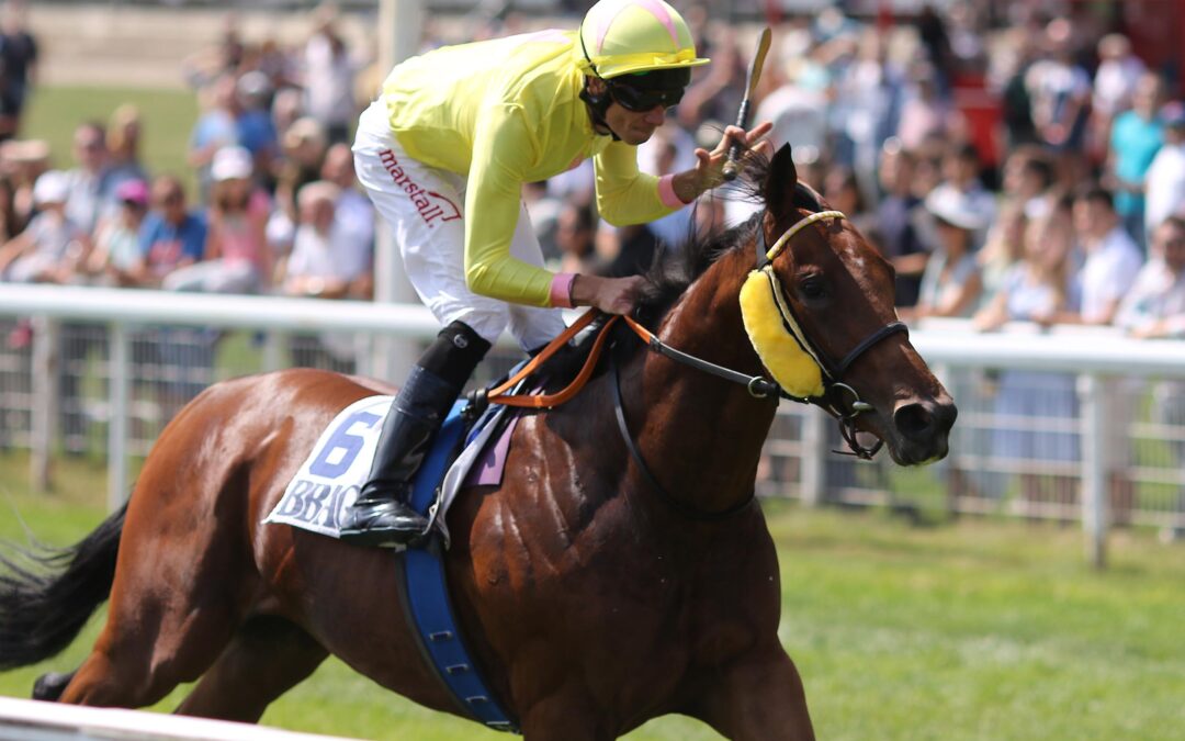 SEE PARIS UND EINE LADY