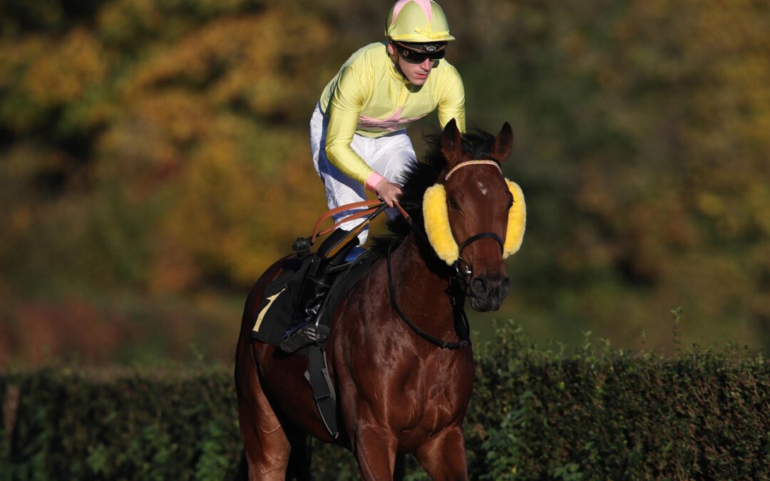 PLATZ ACHT IN ROM KLASSIKER