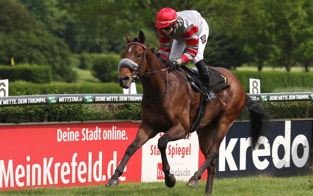 MISTER APPLEBEE DIE FÜNFTE