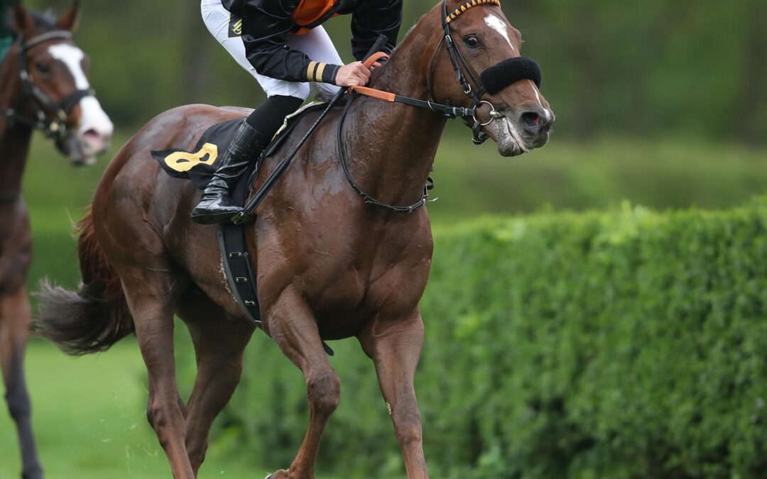 BODEN NICHT WEICH GENUG