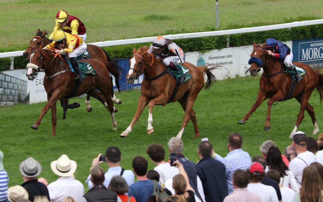 GLÜCKLOS IN MANNHEIM