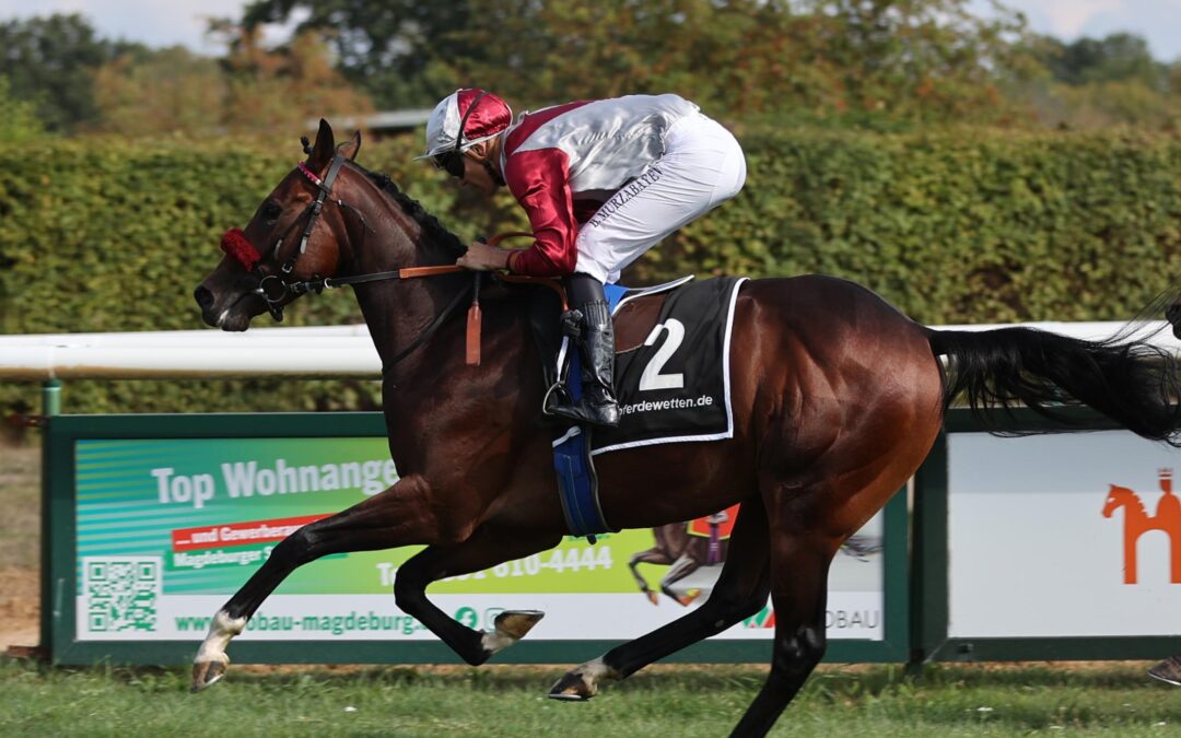 WILLIBALD UND DER WOLFF