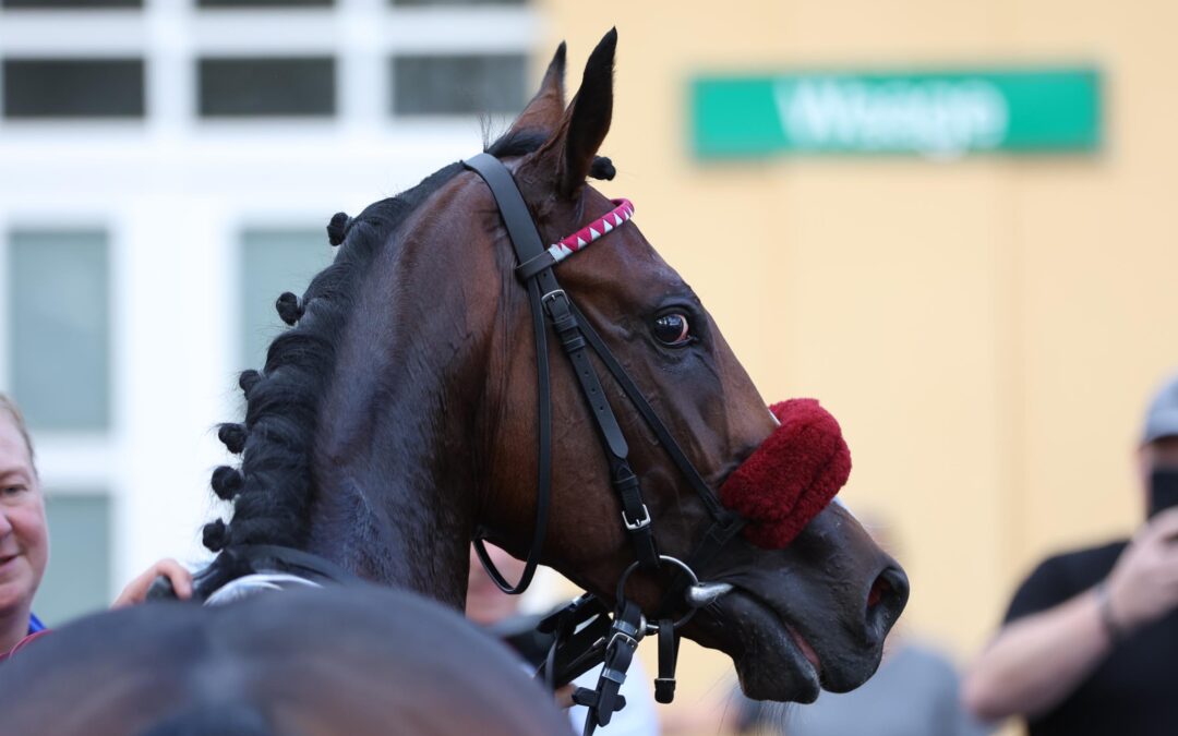 DRITTER BEIM “COMEBACK”