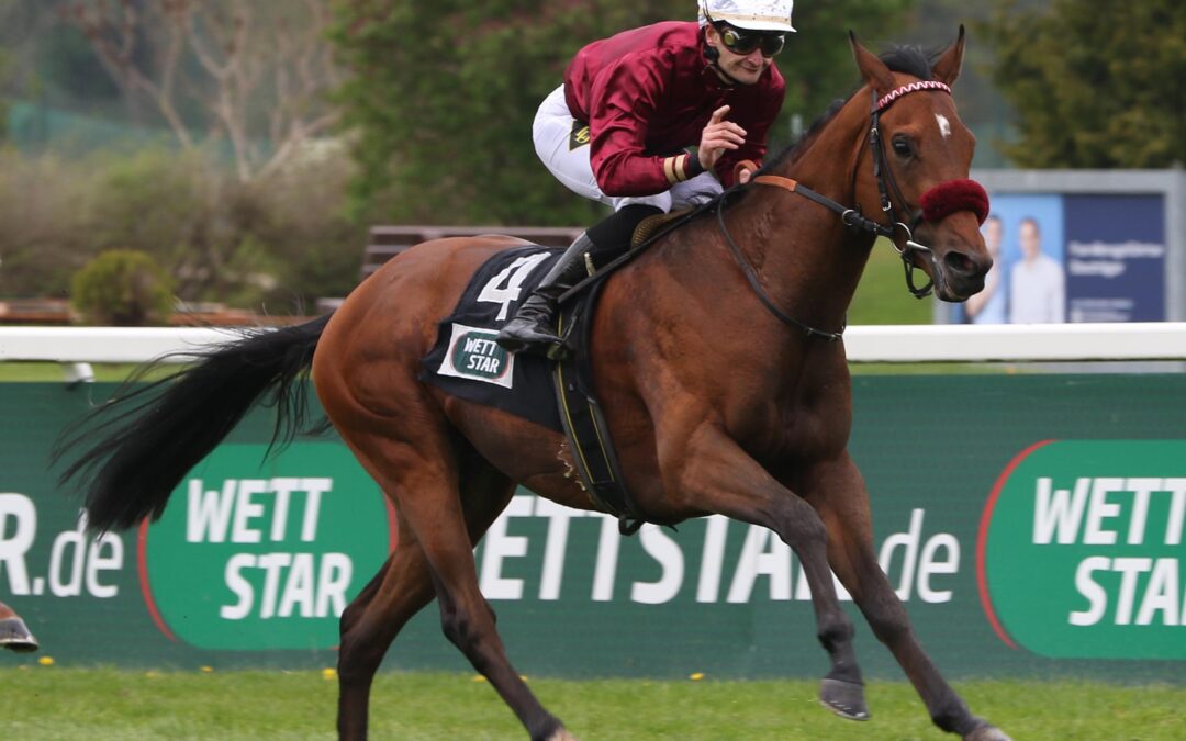 NOCH GRÜN ABER BÄRENSTARK