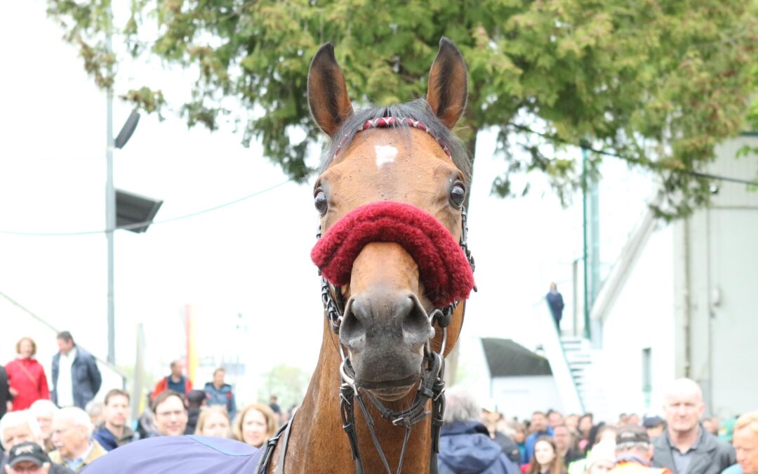 GRUß VON  GANZ OBEN
