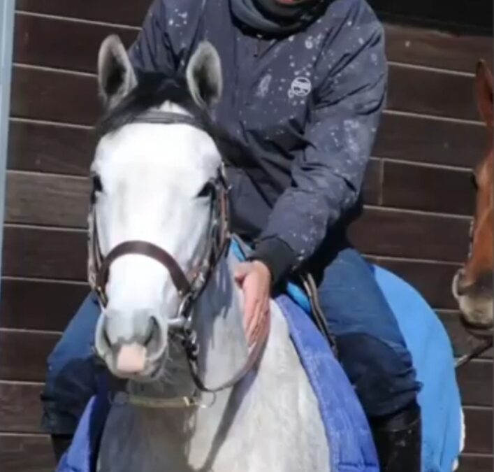 NOCH VIER AM SAMSTAG