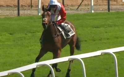 ZWEITES HANDICAP