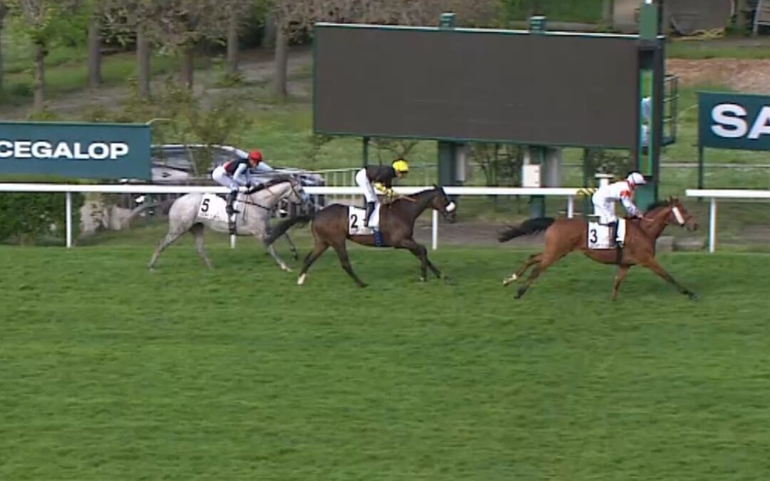 WIEDER  PLACIERT GELAUFEN