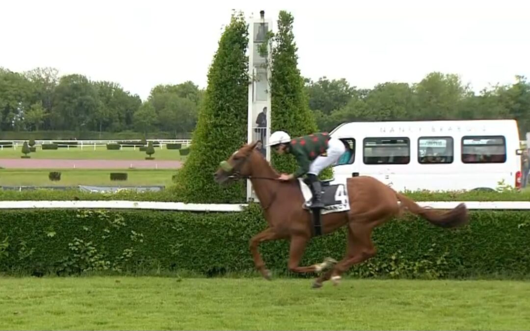 ZWEITER ZUM EINSTAND