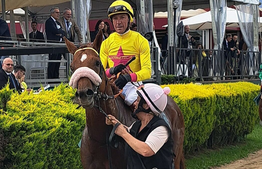 KOPF FEHLT SEE HECTOR