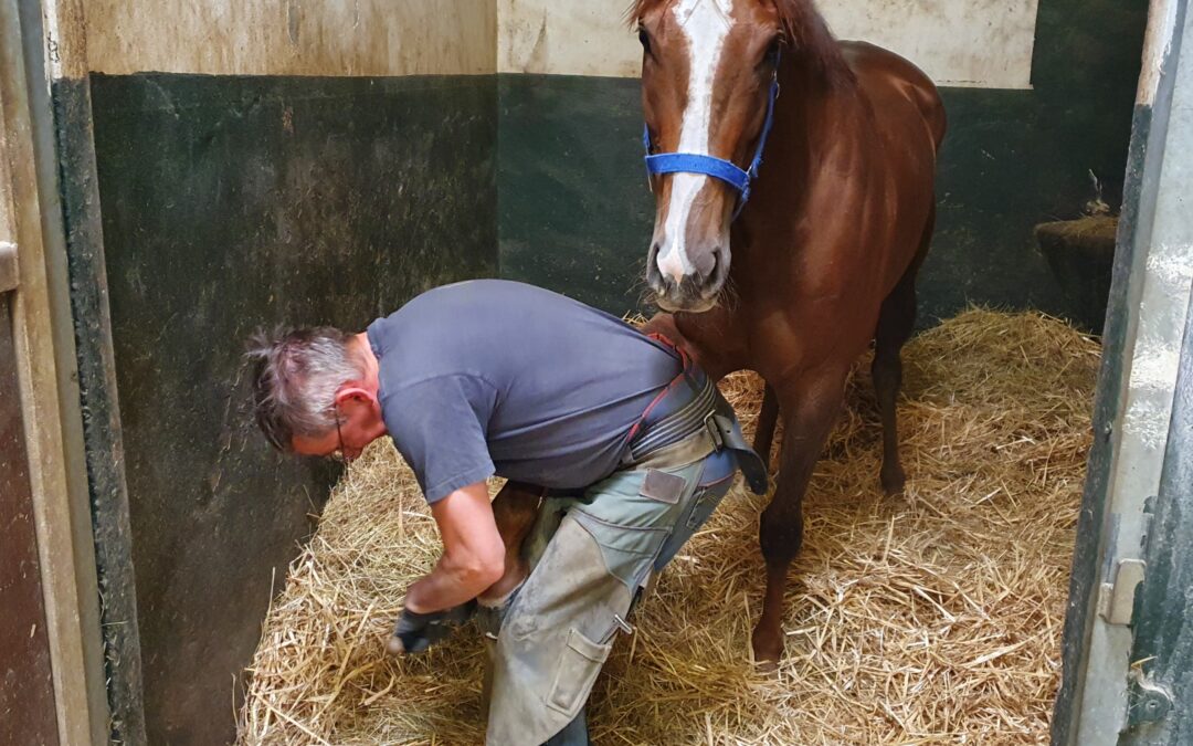 DIENSTAG NACH COMPIEGNE