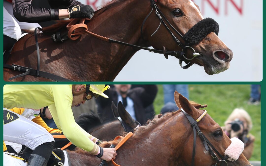MAILÄNDER GRUPPE DUO