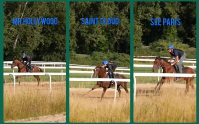 DERBY TRIO AT WORK