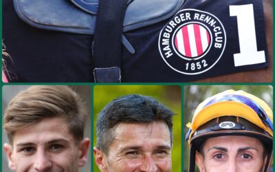 Grewe TEAMS STEHEN