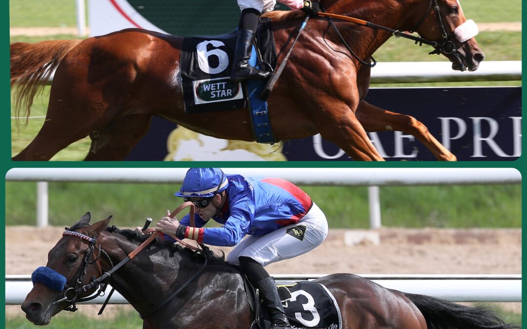 DOPPELSPITZE IM “HANSA”