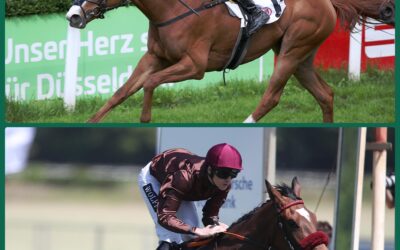 GRUPPE STUTENPOWER