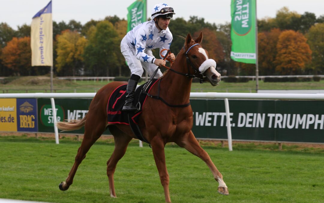 WIE IMMER GELD VERDIENT