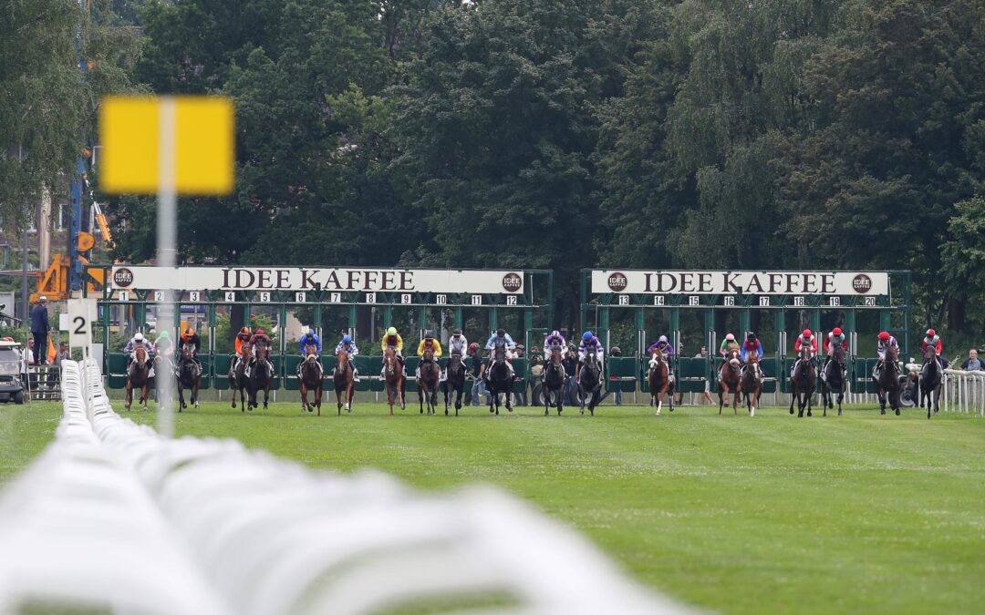 NOCH DREI FÜRS DERBY
