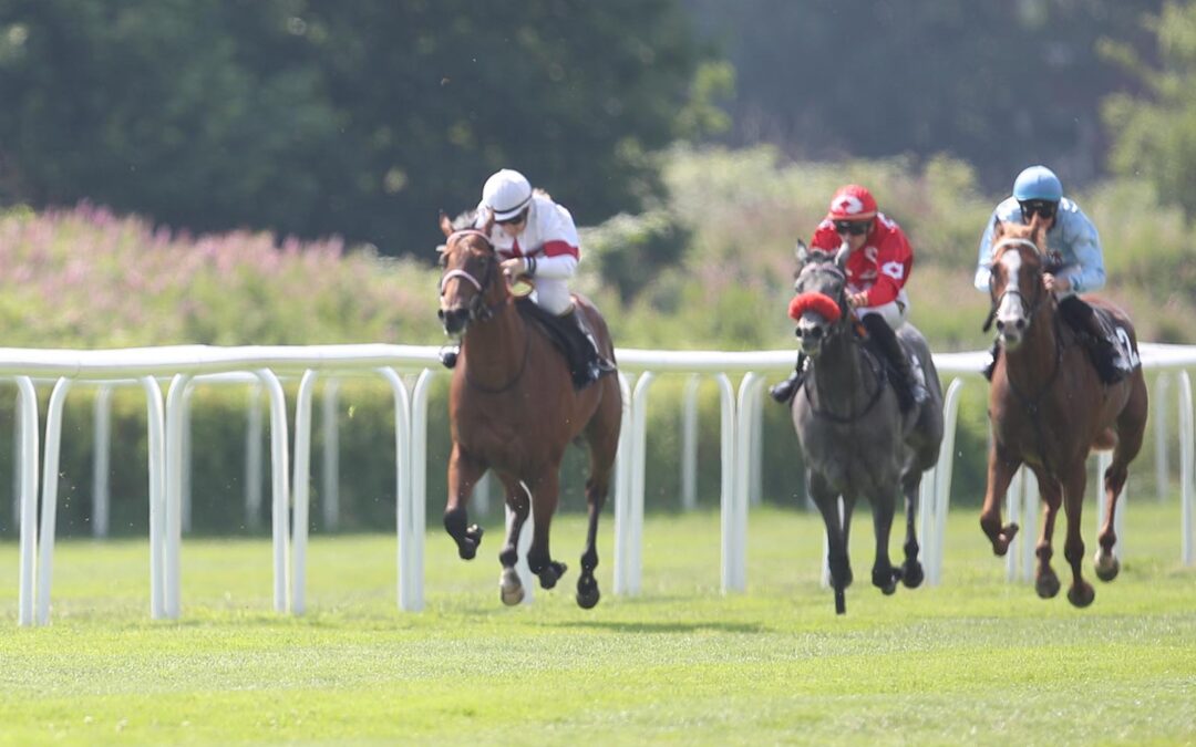 ZWEITE BEIM ERSTEN START
